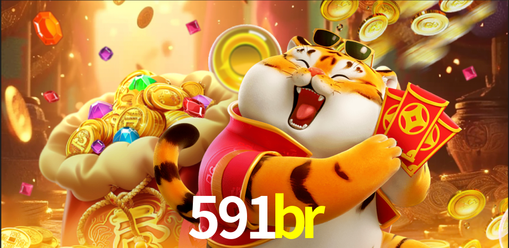 591br.com